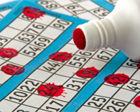 Bingo numbers wordsearch