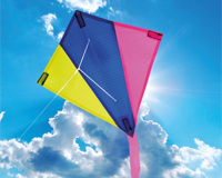 Kites wordsearch