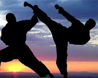 Martial arts wordsearch