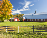 On the farm wordsearch